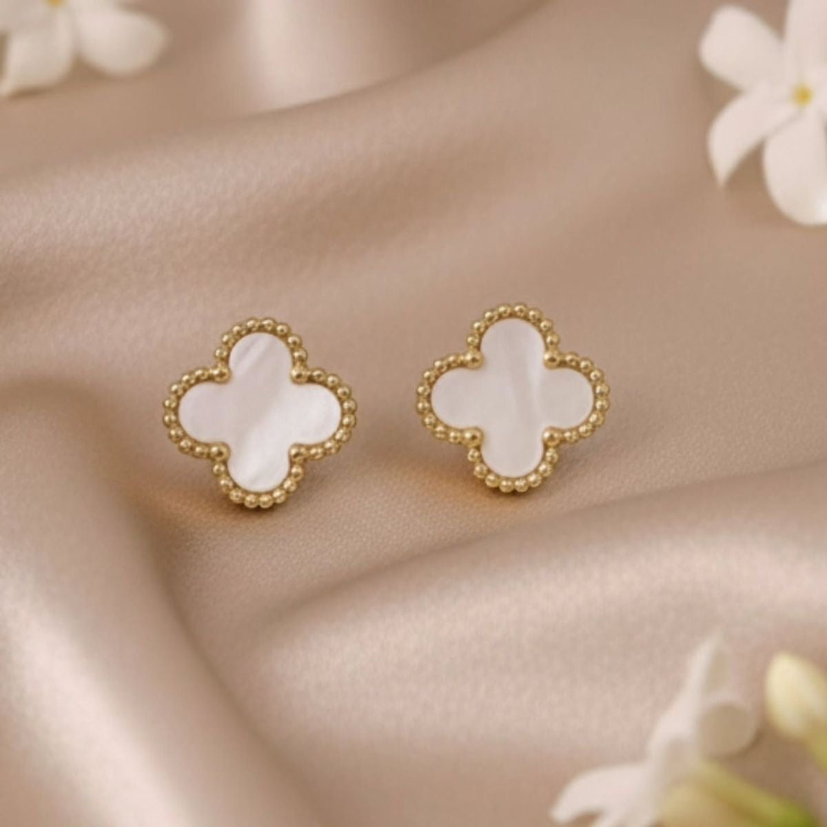 Anokho white clover stud
